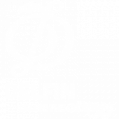 Delfin Amazon Cruises